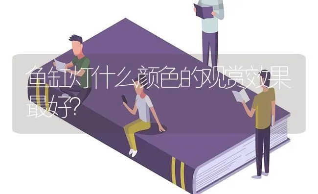 鱼缸灯什么颜色的观赏效果最好？ | 鱼类宠物饲养