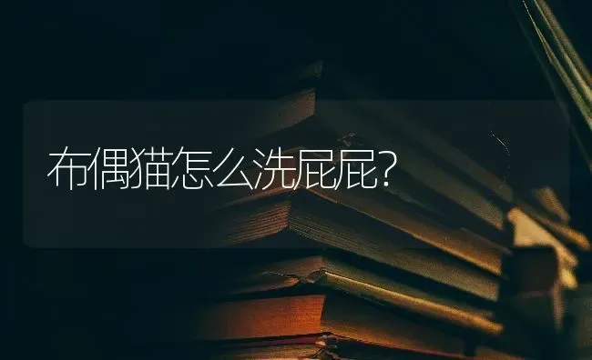 普通的狗吐，不吃饭，不喝水，趴了一上午一动不动，是怎么了？ | 动物养殖问答