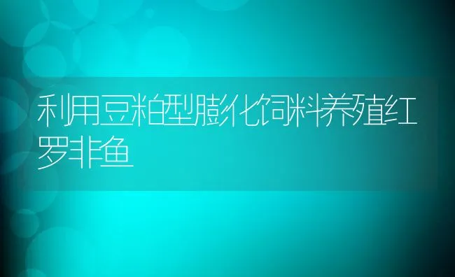 利用豆粕型膨化饲料养殖红罗非鱼 | 动物养殖饲料