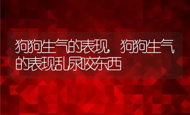 狗狗生气的表现,狗狗生气的表现乱尿咬东西 | 宠物百科知识