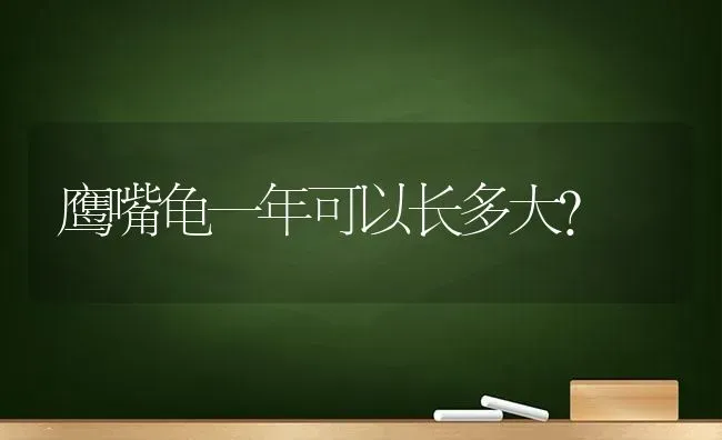 鹰嘴龟一年可以长多大？ | 动物养殖问答