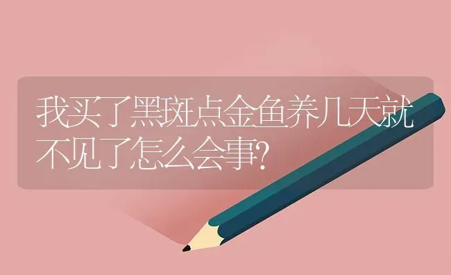 我买了黑斑点金鱼养几天就不见了怎么会事？ | 鱼类宠物饲养