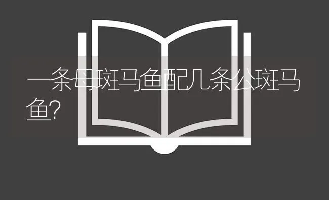 一条母斑马鱼配几条公斑马鱼？ | 鱼类宠物饲养