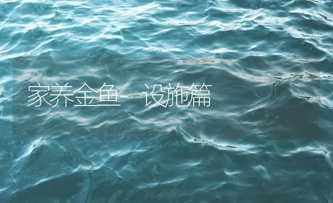 家养金鱼-设施篇 | 海水养殖技术