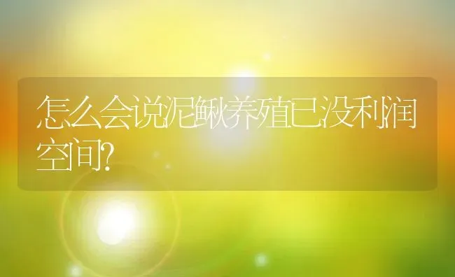 怎么会说泥鳅养殖已没利润空间？ | 动物养殖百科