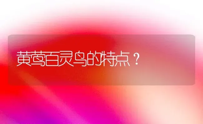 黄莺百灵鸟的特点？ | 动物养殖问答