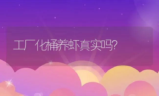 工厂化桶养虾真实吗？ | 动物养殖百科