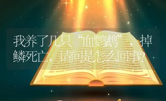 我养了几只“血鹦鹉”，掉鳞死亡，请问是怎么回事？ | 鱼类宠物饲养