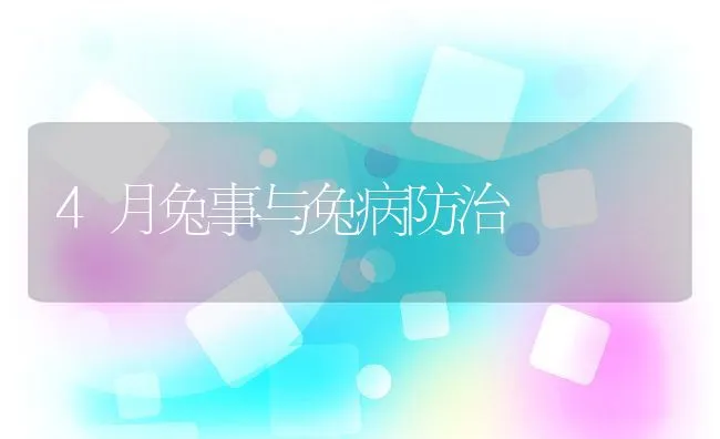 4月兔事与兔病防治 | 动物养殖学堂