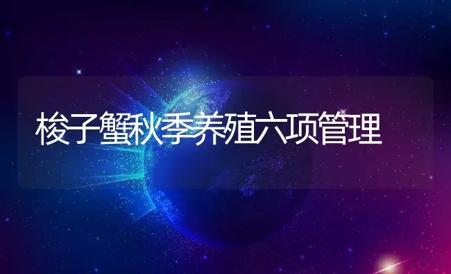 梭子蟹秋季养殖六项管理 | 动物养殖百科