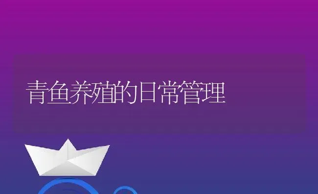 青鱼养殖的日常管理 | 动物养殖教程