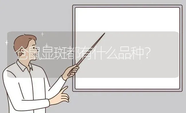 仓鼠显斑都有什么品种？ | 动物养殖问答