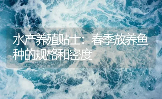 水产养殖贴士：春季放养鱼种的规格和密度 | 海水养殖技术