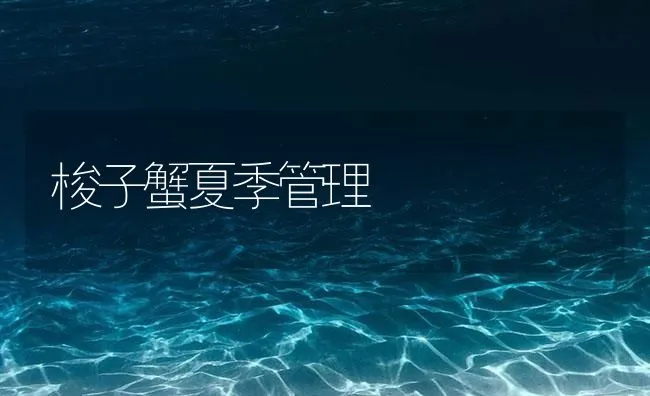 梭子蟹夏季管理 | 海水养殖技术