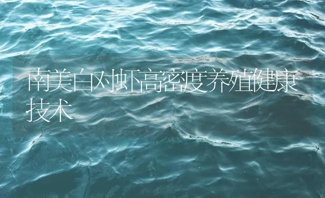 南美白对虾高密度养殖健康技术 | 海水养殖技术