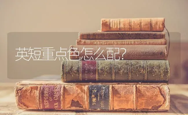 英短重点色怎么配？ | 动物养殖问答