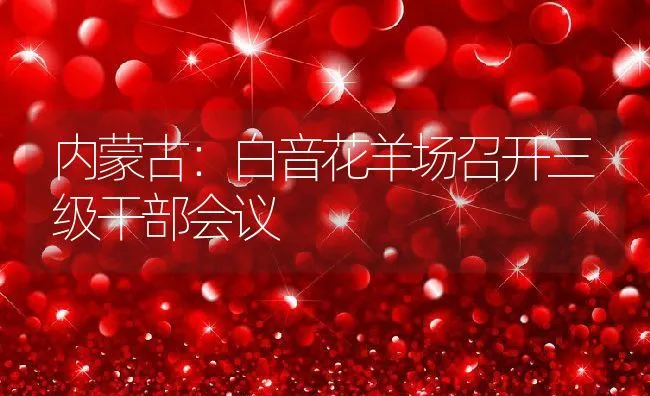 内蒙古：白音花羊场召开三级干部会议 | 动物养殖饲料