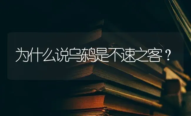 为什么说乌鸫是不速之客？ | 动物养殖问答