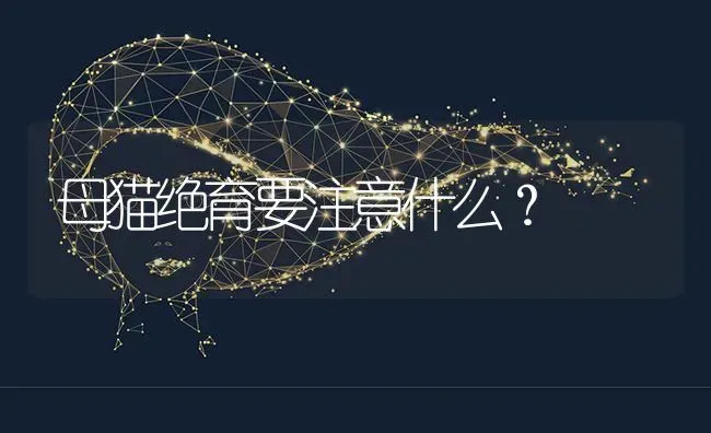 母猫绝育要注意什么？ | 动物养殖问答