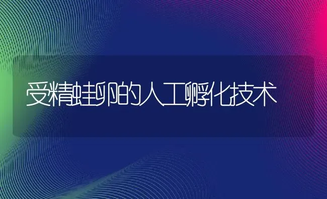 受精蛙卵的人工孵化技术 | 动物养殖教程