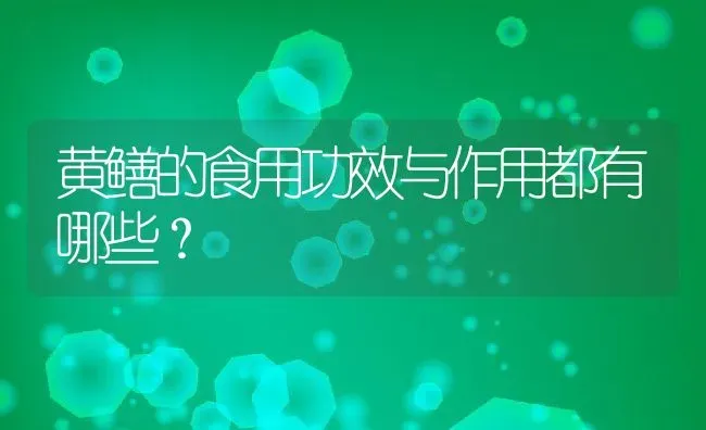 黄鳝的食用功效与作用都有哪些？ | 动物养殖百科