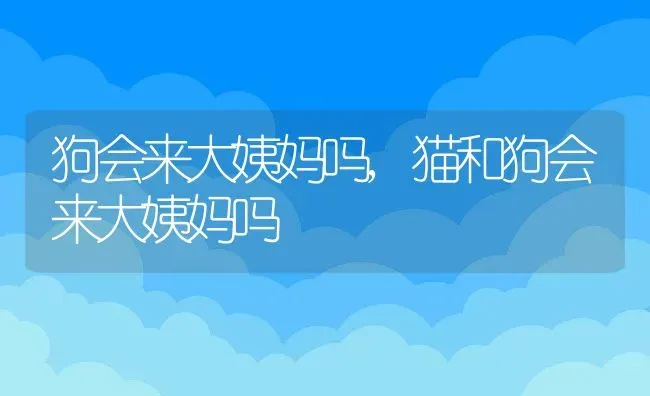 狗会来大姨妈吗,猫和狗会来大姨妈吗 | 宠物百科知识