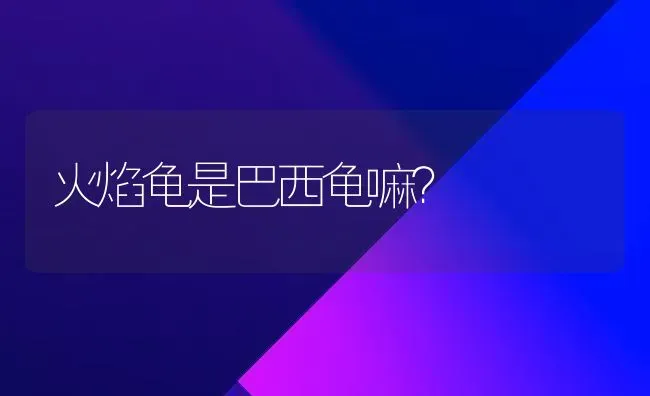 火焰龟是巴西龟嘛？ | 动物养殖问答