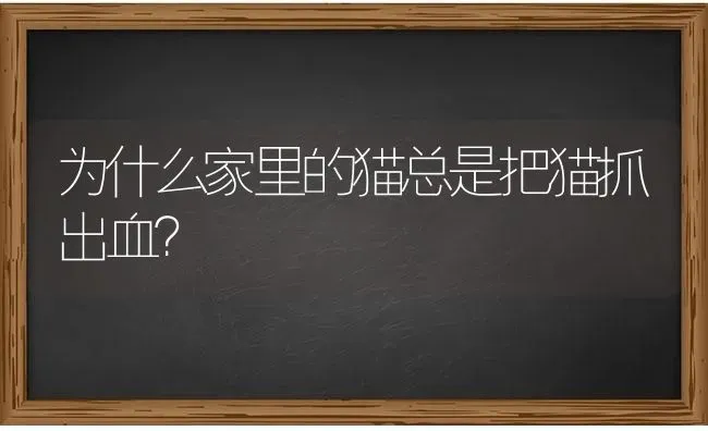 猫的生长周期一般是多少天？ | 动物养殖问答