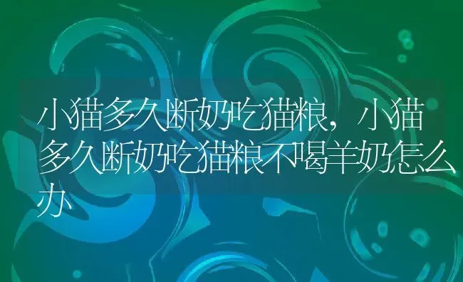 金丝熊怎么洗澡,金丝熊怎么洗澡很臭了 | 宠物百科知识