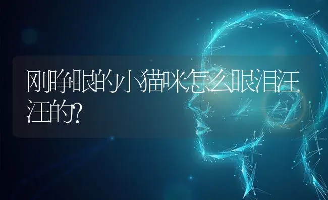 刚睁眼的小猫咪怎么眼泪汪汪的？ | 动物养殖问答