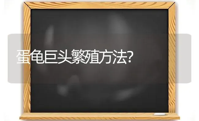 蛋龟巨头繁殖方法？ | 动物养殖问答