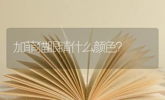 加菲猫眼睛什么颜色？ | 动物养殖问答