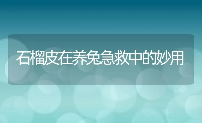 石榴皮在养兔急救中的妙用 | 水产养殖知识