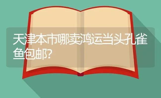 天津本市哪卖鸿运当头孔雀鱼包邮？ | 鱼类宠物饲养