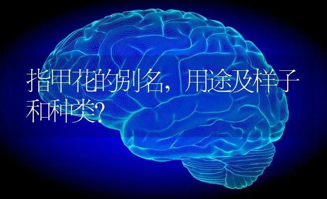 指甲花的别名，用途及样子和种类？ | 动物养殖问答