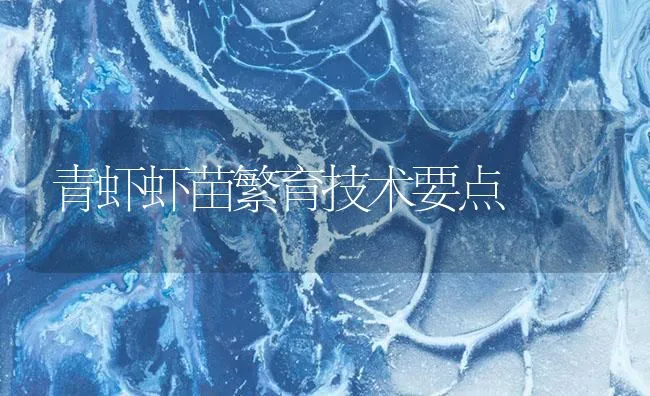 青虾虾苗繁育技术要点 | 海水养殖技术