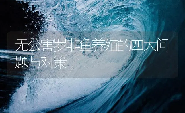 无公害罗非鱼养殖的四大问题与对策 | 海水养殖技术