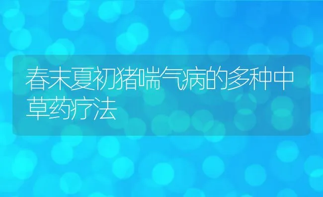 春末夏初猪喘气病的多种中草药疗法 | 动物养殖学堂