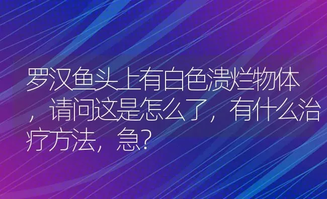 罗汉鱼头上有白色溃烂物体，请问这是怎么了，有什么治疗方法，急？ | 鱼类宠物饲养