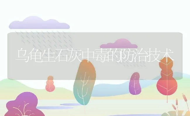 乌龟生石灰中毒的防治技术 | 动物养殖学堂