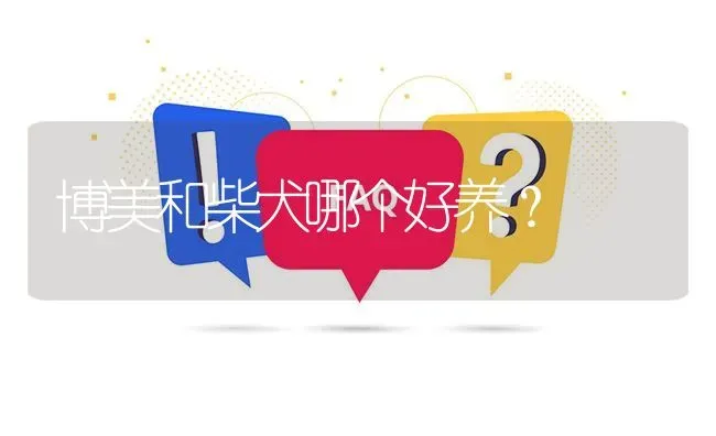 博美和柴犬哪个好养？ | 动物养殖问答