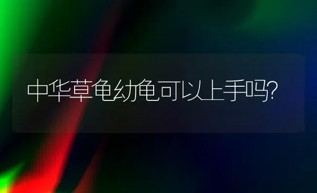 中华草龟幼龟可以上手吗？ | 动物养殖问答