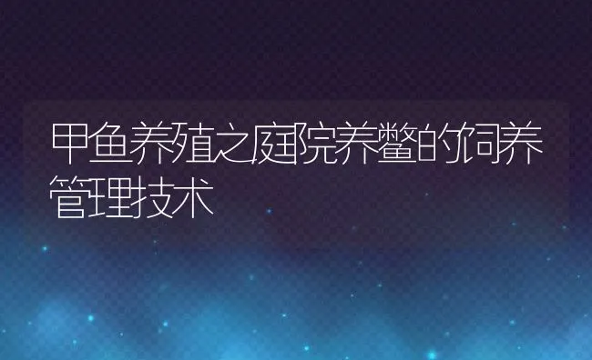 甲鱼养殖之庭院养鳖的饲养管理技术 | 水产养殖知识