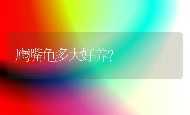 鹰嘴龟多大好养？ | 动物养殖问答