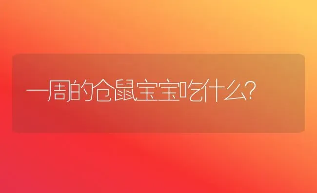 一周的仓鼠宝宝吃什么？ | 动物养殖问答