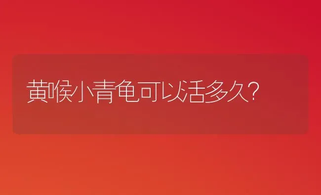 黄喉小青龟可以活多久？ | 动物养殖问答