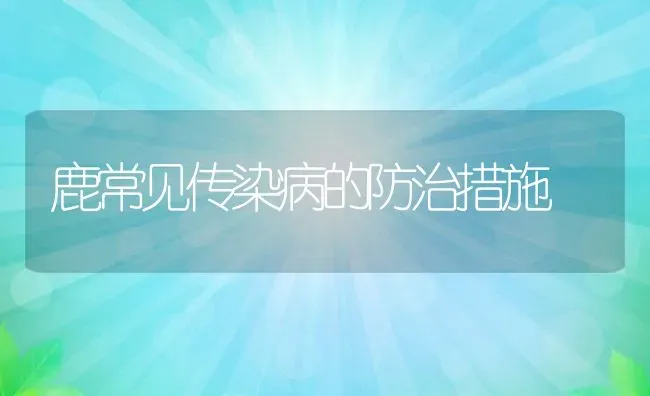 鹿常见传染病的防治措施 | 特种养殖技术