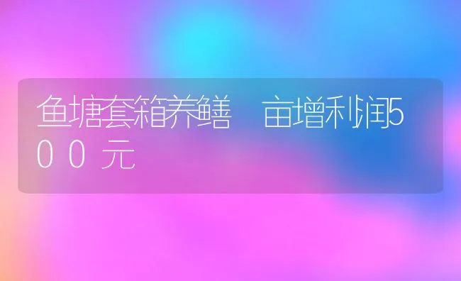 鱼塘套箱养鳝 亩增利润500元 | 水产养殖知识