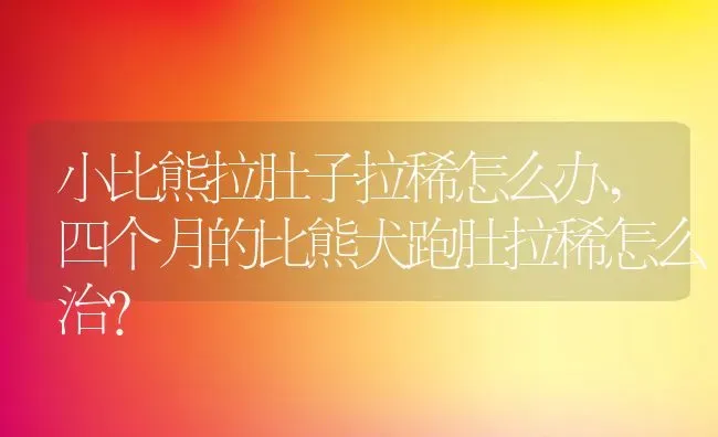 小比熊拉肚子拉稀怎么办,四个月的比熊犬跑肚拉稀怎么治？ | 宠物百科知识