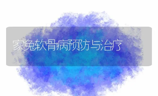 家兔软骨病预防与治疗 | 动物养殖学堂